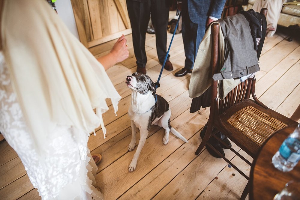 Brandy Evan - Wedding at Blissful Barn in Three Oaks, Michigan - 051.jpg