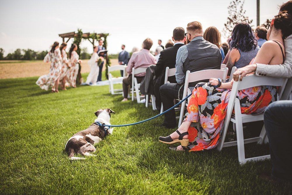 Brandy Evan - Wedding at Blissful Barn in Three Oaks, Michigan - 091.jpg